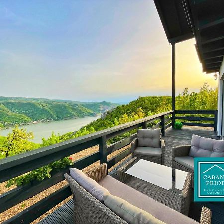 Cabana Priod Coronini Pescari Dış mekan fotoğraf