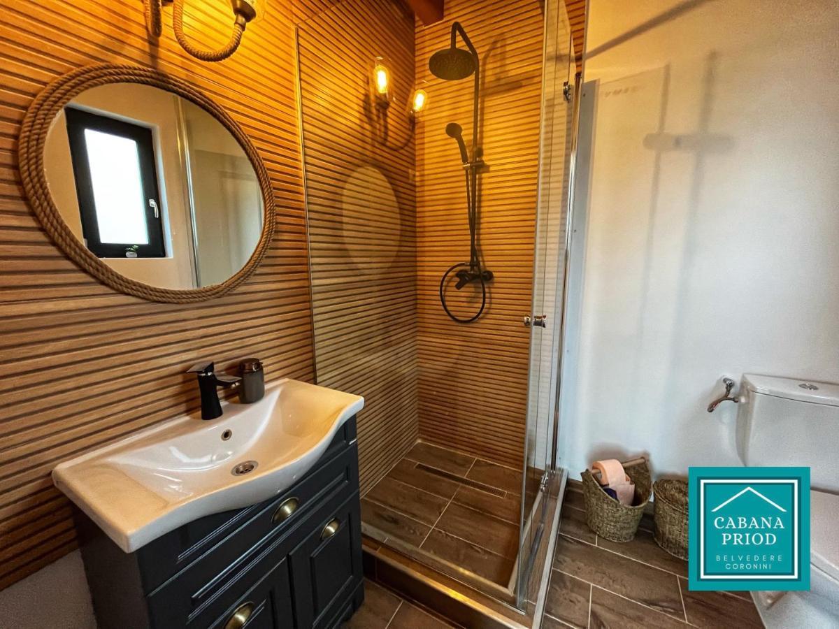 Cabana Priod Coronini Pescari Dış mekan fotoğraf