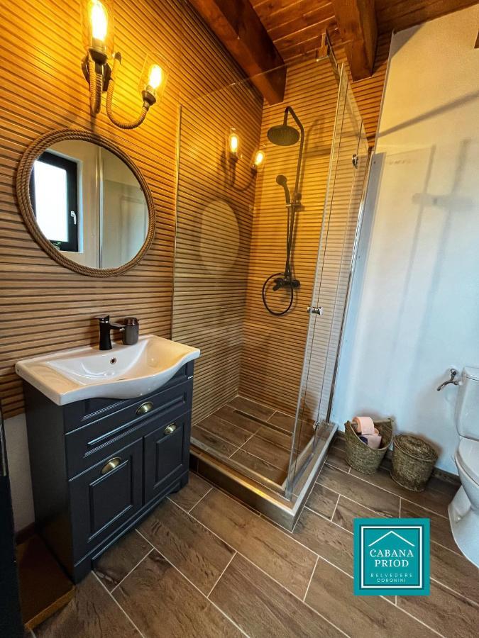 Cabana Priod Coronini Pescari Dış mekan fotoğraf