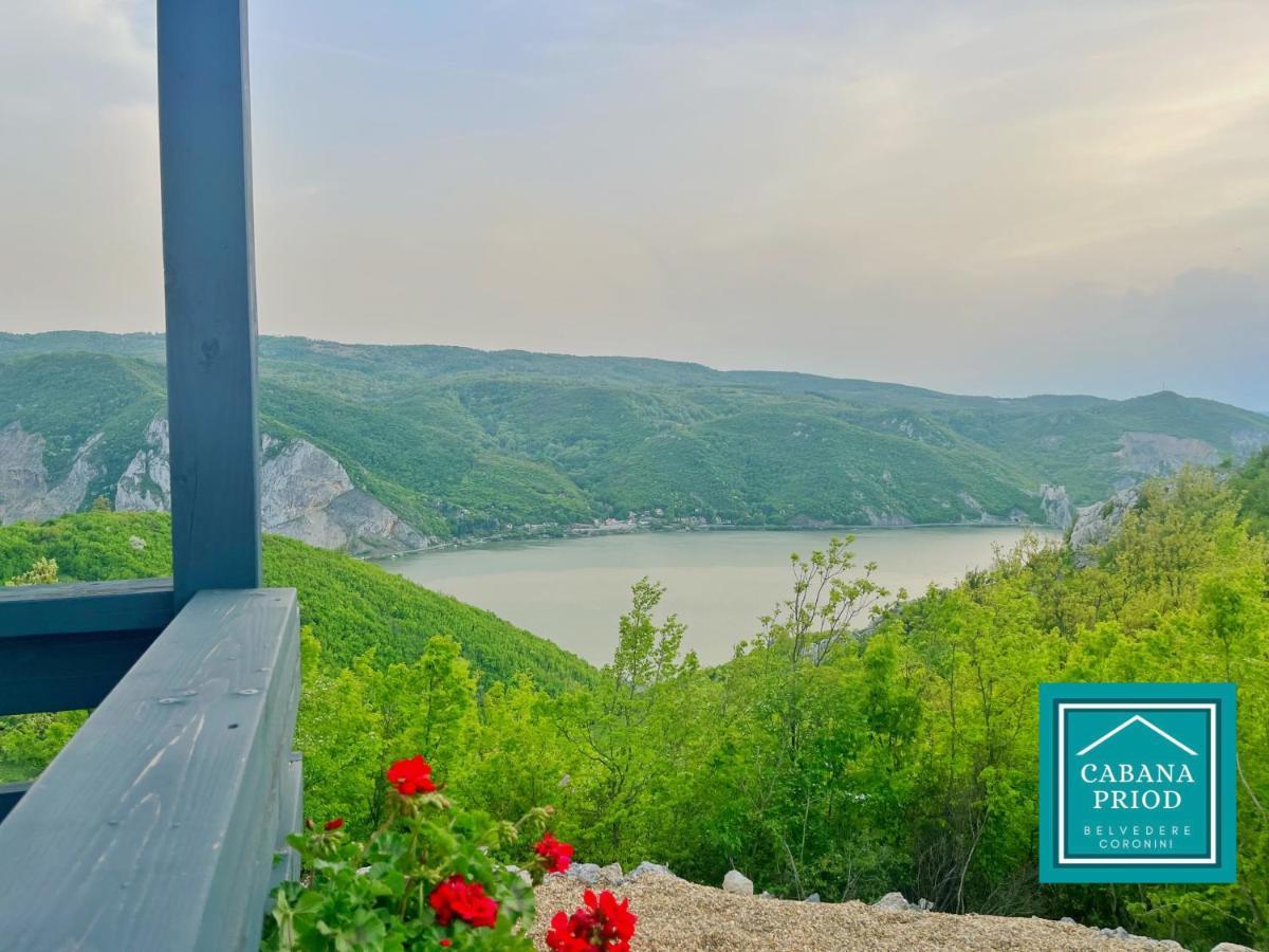 Cabana Priod Coronini Pescari Dış mekan fotoğraf