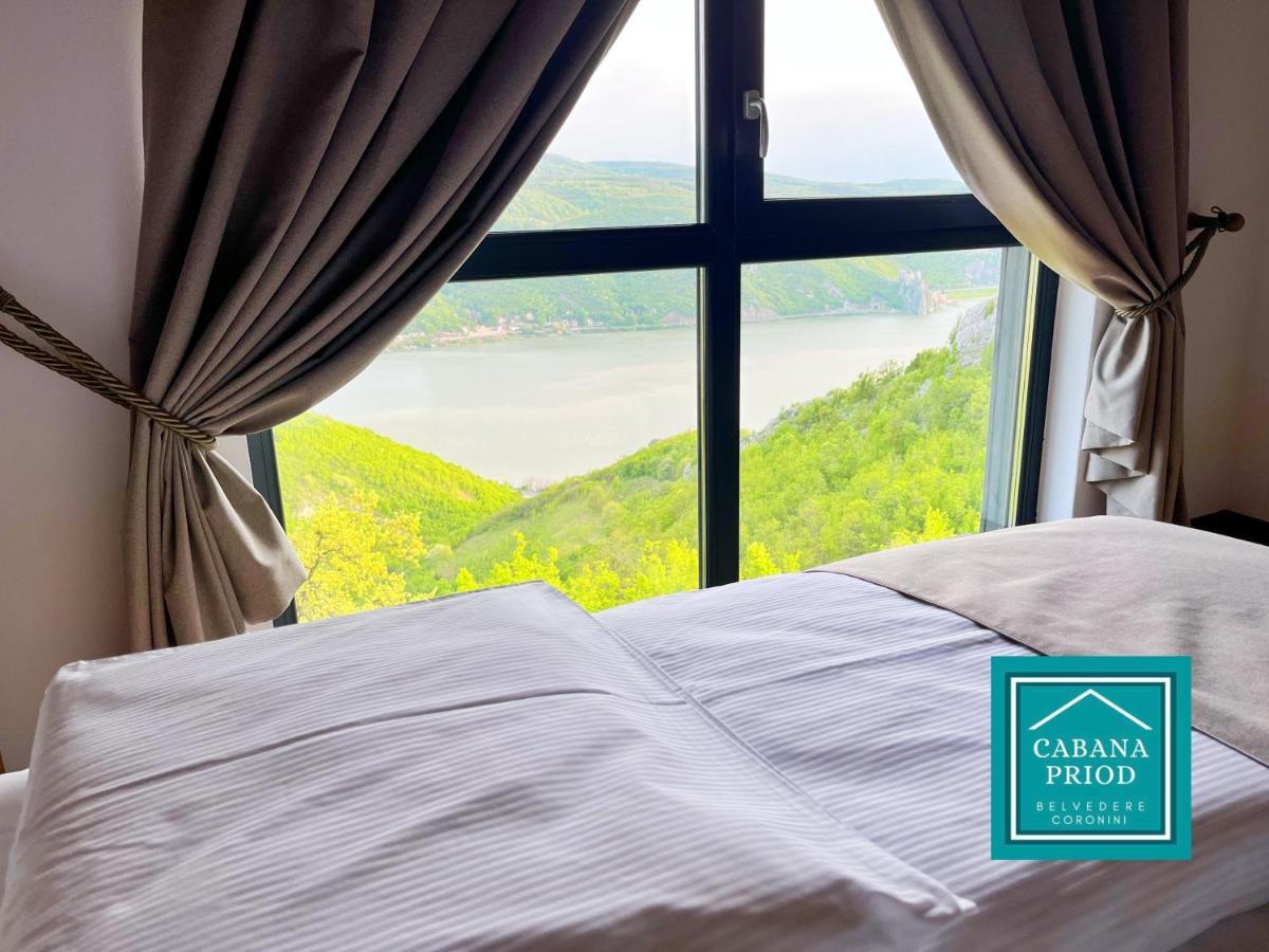 Cabana Priod Coronini Pescari Dış mekan fotoğraf