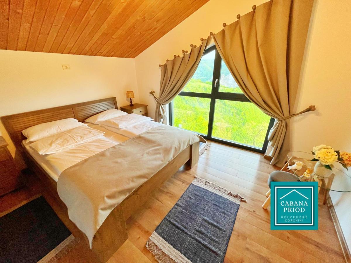 Cabana Priod Coronini Pescari Dış mekan fotoğraf