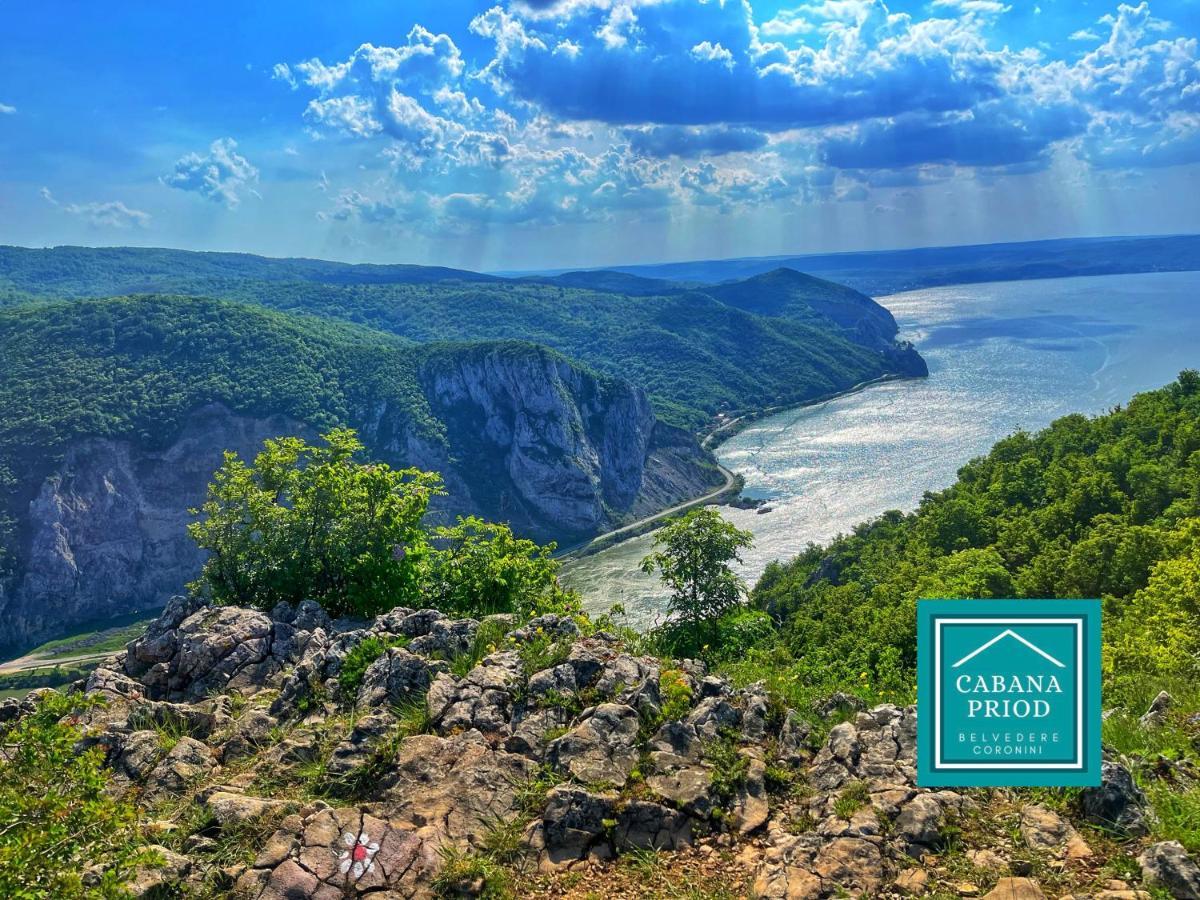 Cabana Priod Coronini Pescari Dış mekan fotoğraf