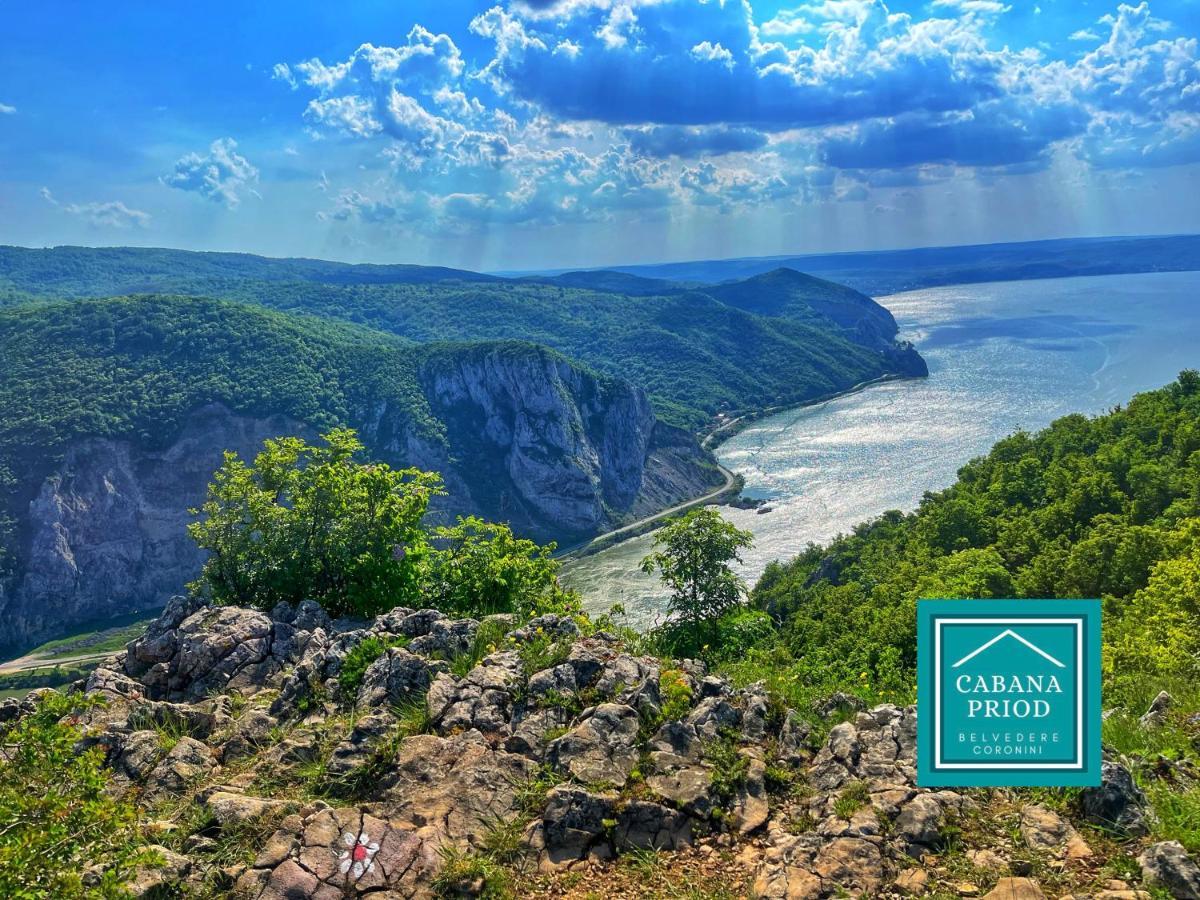 Cabana Priod Coronini Villa Pescari Dış mekan fotoğraf