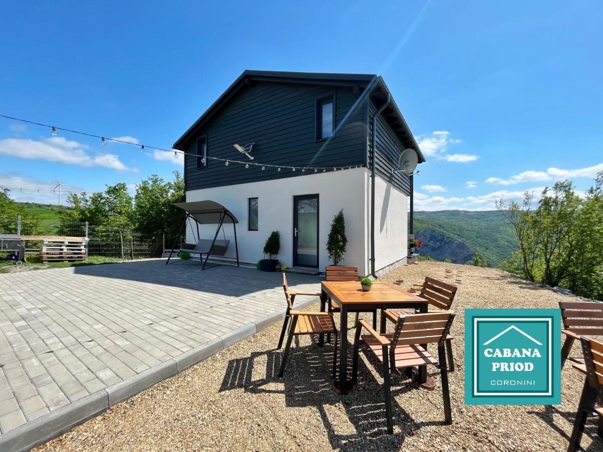 Cabana Priod Coronini Pescari Dış mekan fotoğraf