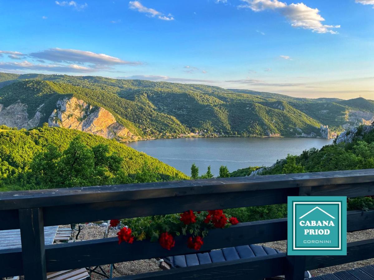 Cabana Priod Coronini Pescari Dış mekan fotoğraf