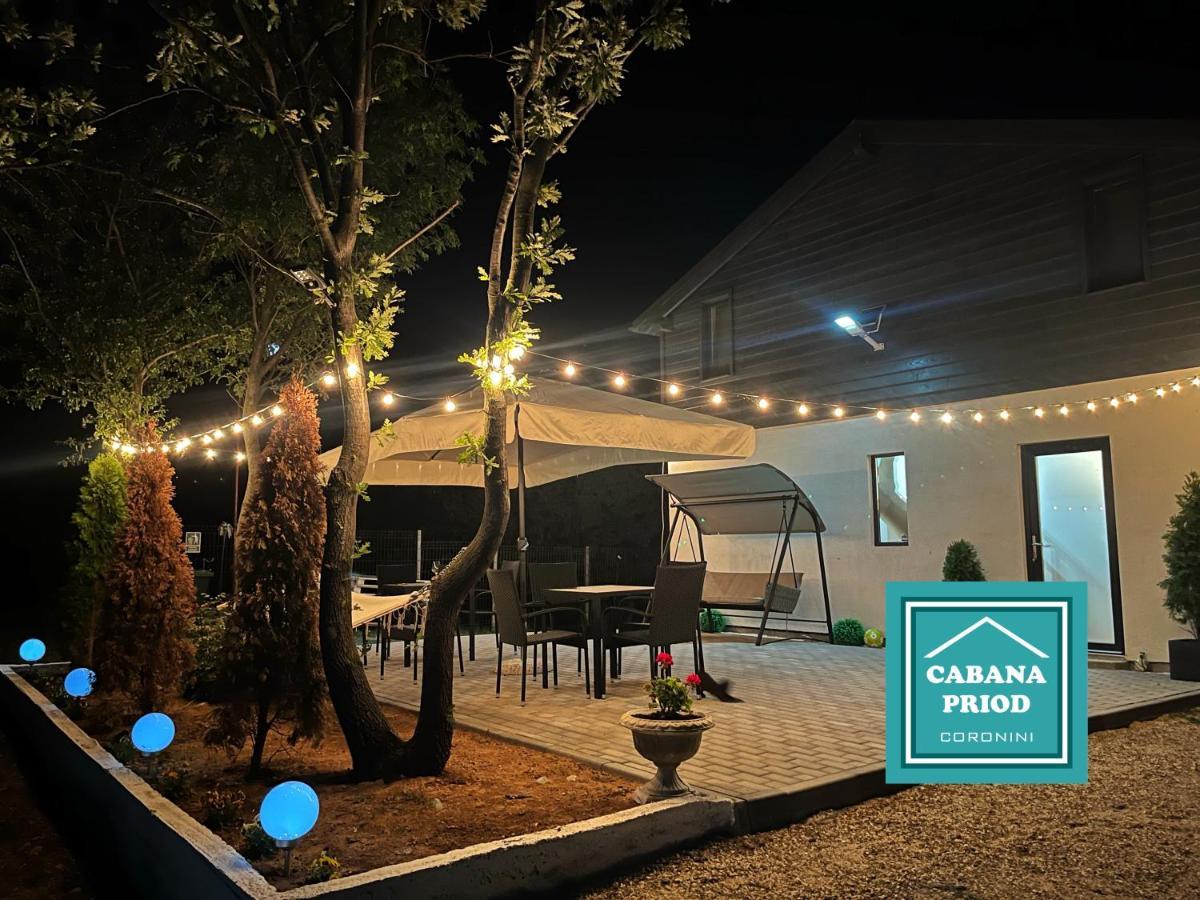 Cabana Priod Coronini Pescari Dış mekan fotoğraf