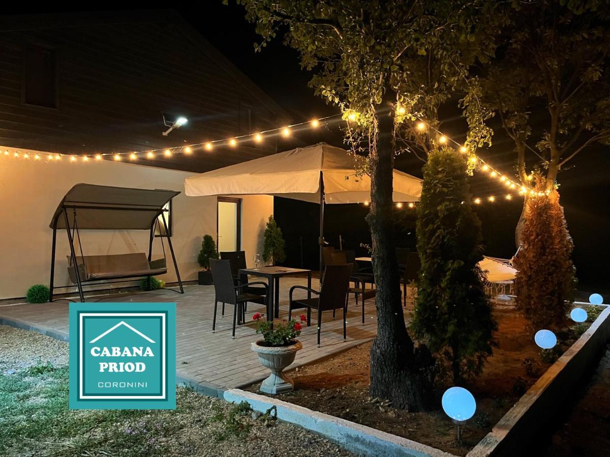 Cabana Priod Coronini Villa Pescari Dış mekan fotoğraf