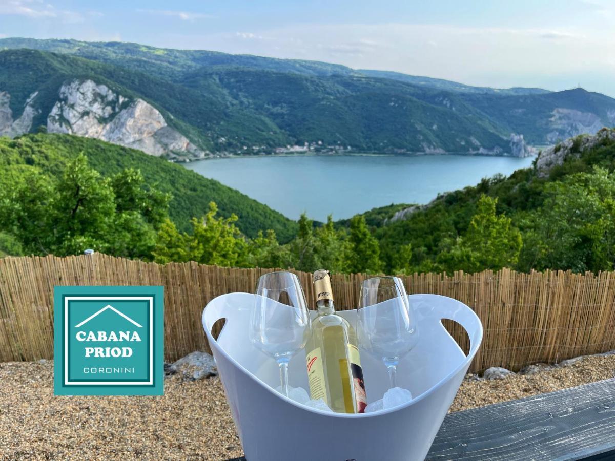 Cabana Priod Coronini Pescari Dış mekan fotoğraf