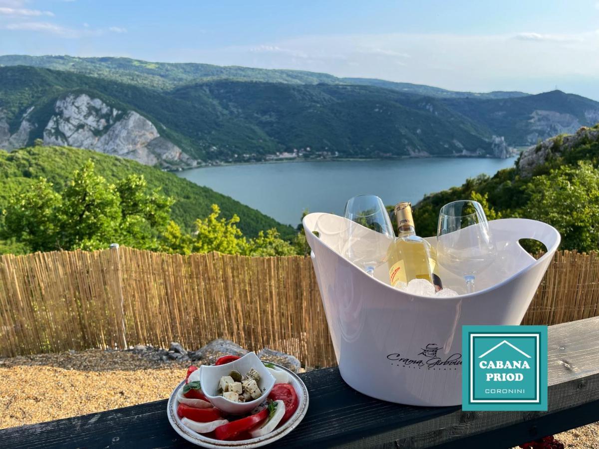 Cabana Priod Coronini Pescari Dış mekan fotoğraf