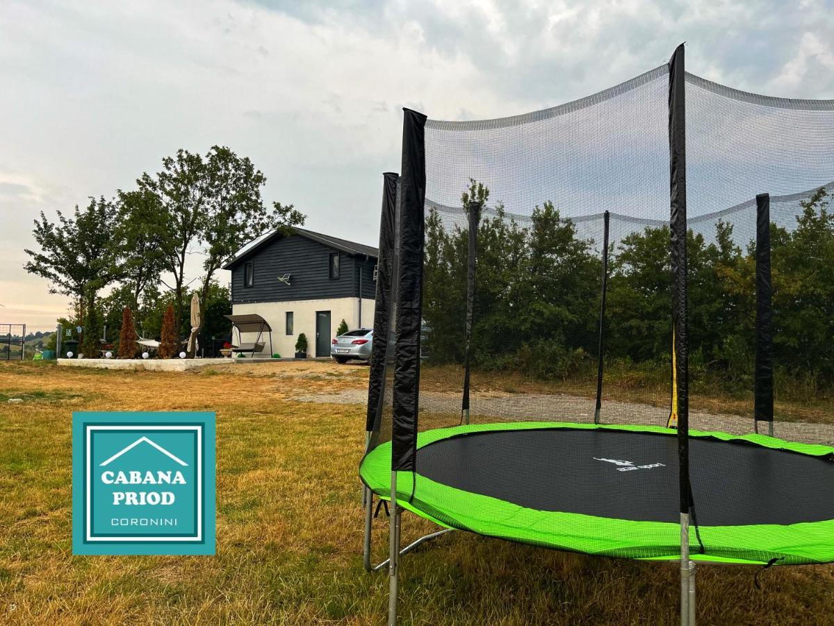 Cabana Priod Coronini Pescari Dış mekan fotoğraf