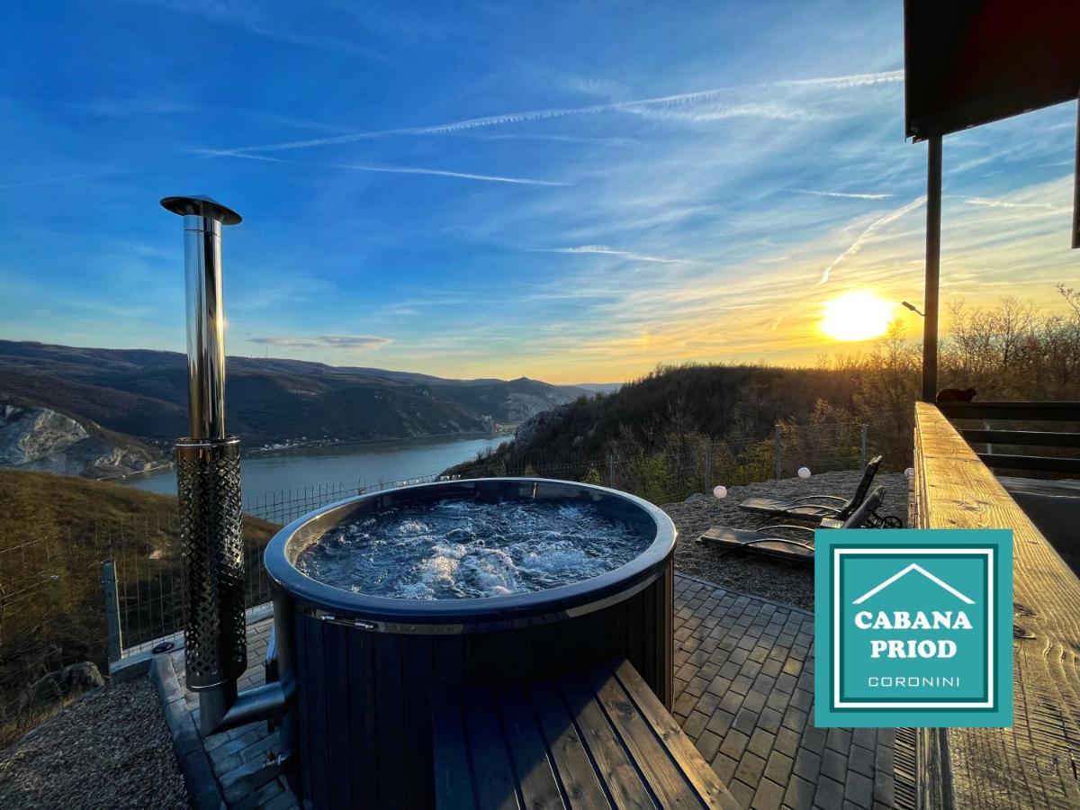 Cabana Priod Coronini Pescari Dış mekan fotoğraf